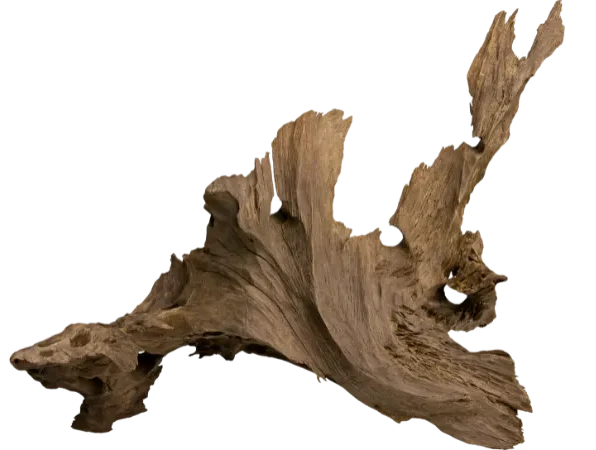 Natural driftwood tree root used as inspiration for handmade wooden bookshelves